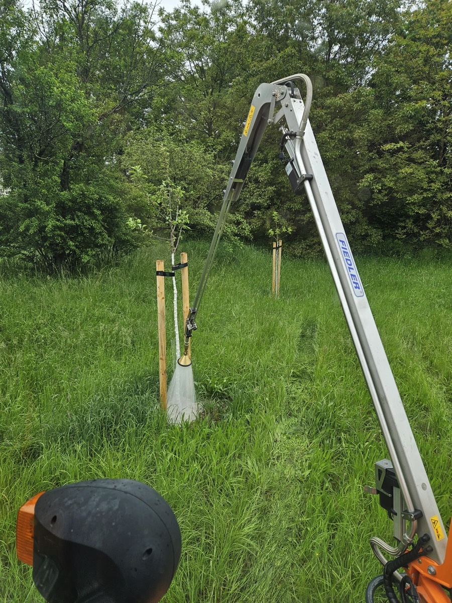 Ein mechanischer Arm mit einem Schlauch führt eine Bewässerung durch und bewässert einen neu gepflanzten Baum, der von Holzpfählen gestützt wird und sich in einer grasbewachsenen Grünfläche in Baden-Württemberg befindet, die von weiteren Bäumen und üppiger Vegetation umgeben ist.